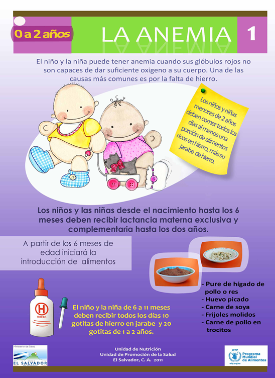 Componente Nutrición | MINSAL