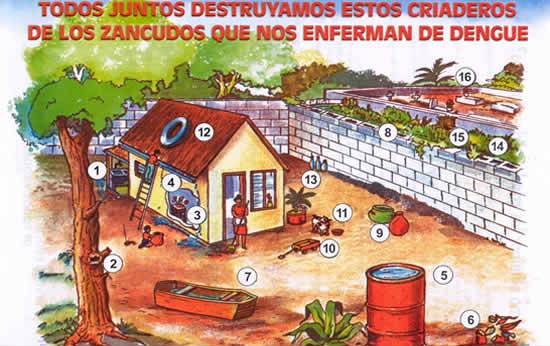 Alerta - Eliminar criaderos de mosquitos facilita prevención del Dengue y CHIK Dengue_casa