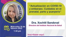 ACTUALIZACION EN COVID-19 Y EMBARAZO. CUIDADOS PRENATAL, PARTO Y PUERPERIO