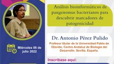 ANÁLISIS BIOINFORMÁTICOS DE PANGENOMAS BACTERIANOS PARA DESCUBRIR MARCADORES DE PATOGENICIDAD