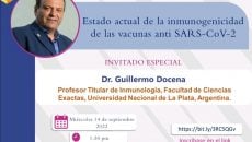 ESTADO ACTUAL DE LA INMUNOGENICIDAD DE LAS VACUNAS ANTI SARS-CoV-2