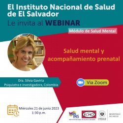 SALUD-MENTAL-Y-ACOMPANAMIENTO-PRENATAL-INS-21062023