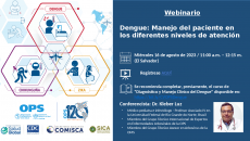 DENGUE-MANEJO-DEL-PACIENTE-EN-LOS-DIFERENTES-NIVELES-DE-ATENCION-MINSAL-16082023