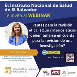 PAUTAS-PARA-LA-REVISION-ETICA-INS-15112023